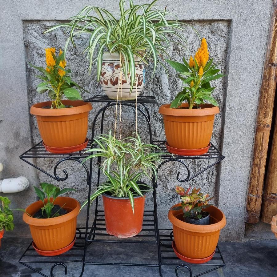 Alohi The Terrace Homestay Tezpur Eksteriør bilde